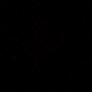 Meet your Posher, Lily